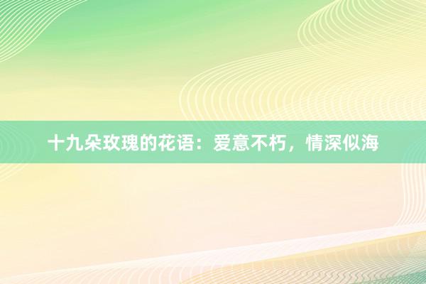 十九朵玫瑰的花语：爱意不朽，情深似海